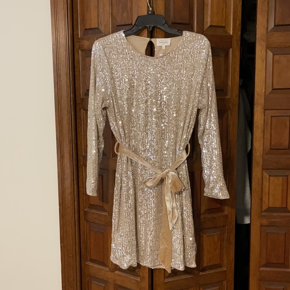 Bohme Blush/Nude sparkle dress. NWT- medium - Picture 1 of 7